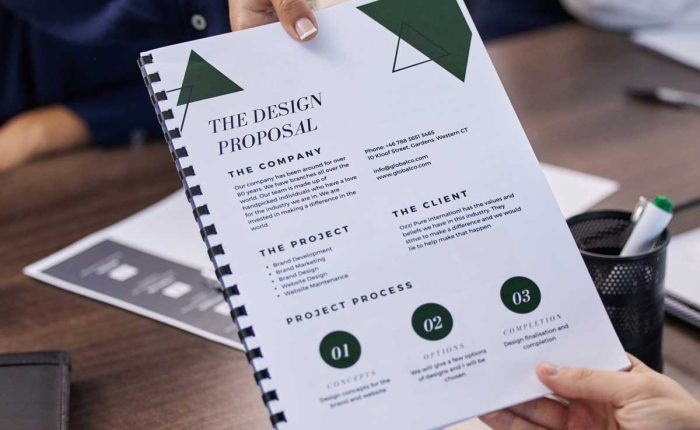 Design Proposal Presented At An Office Meeting