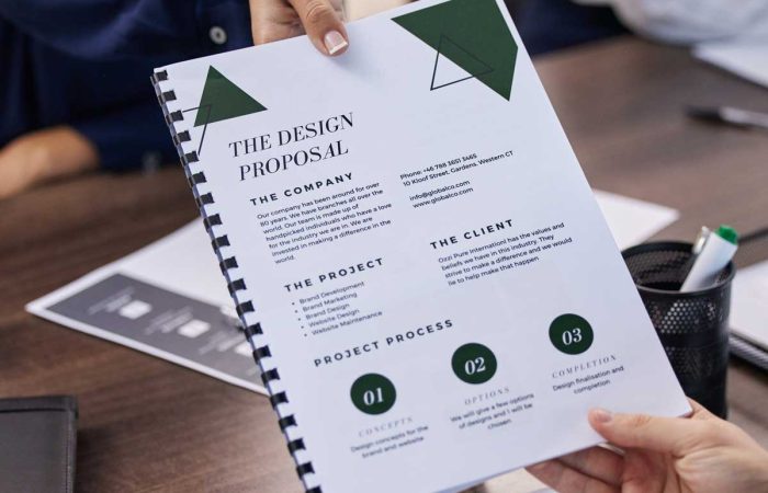 Design Proposal Presented At An Office Meeting